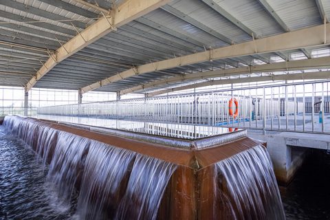 怎么保养多功效微型过滤机？？？？？